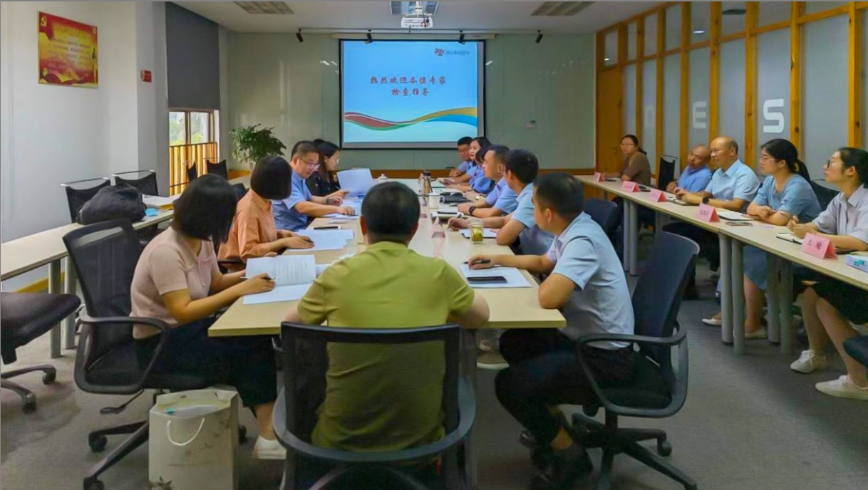 乐动游戏官网顺利通过舒更注册现场核查与小针GMP符合性二合一检查