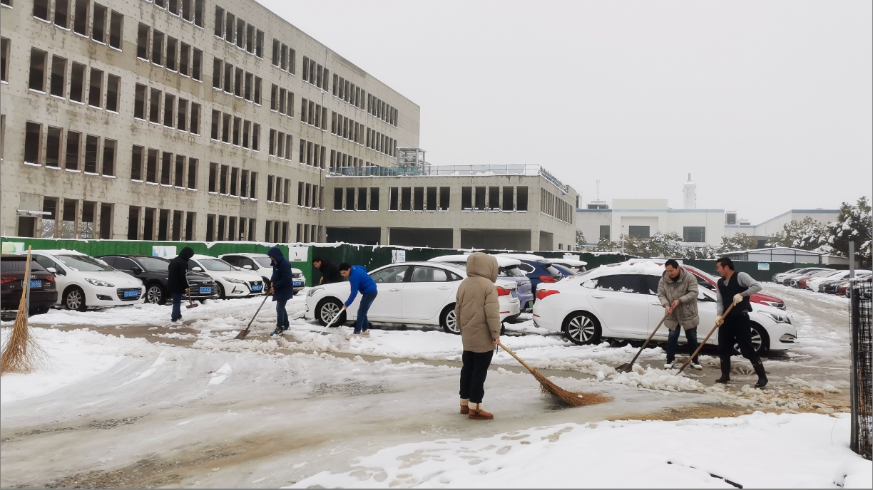 雪绽琼花日 扫雪暖心时丨乐动游戏官网开展扫雪除冰活动